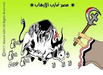 مصر تحارب الارهاب